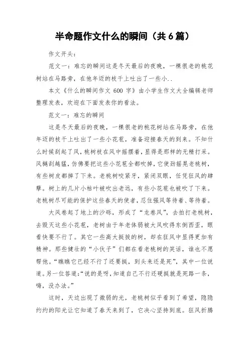 半命题作文什么的瞬间(共6篇)_作文
