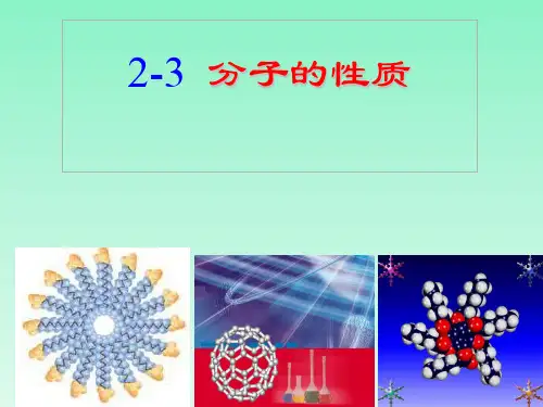 高中化学选修三课件氢键