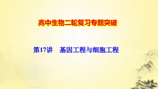 高中生物二轮复习专题突破：第17讲 基因工程与细胞工程