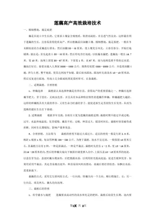 莲藕高产高效栽培技术