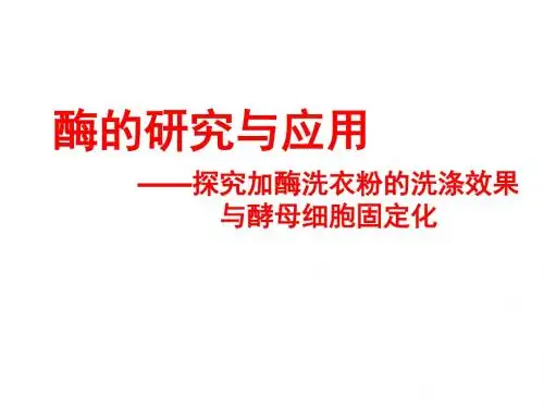 高二生物酶的研究与应用(2019)
