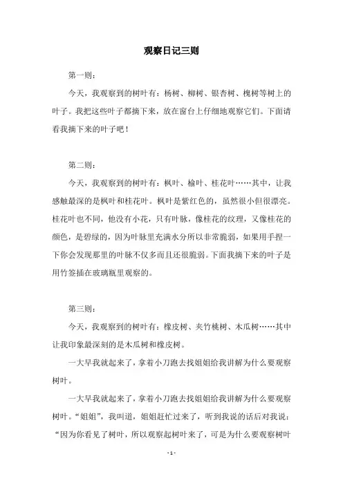观察日记三则