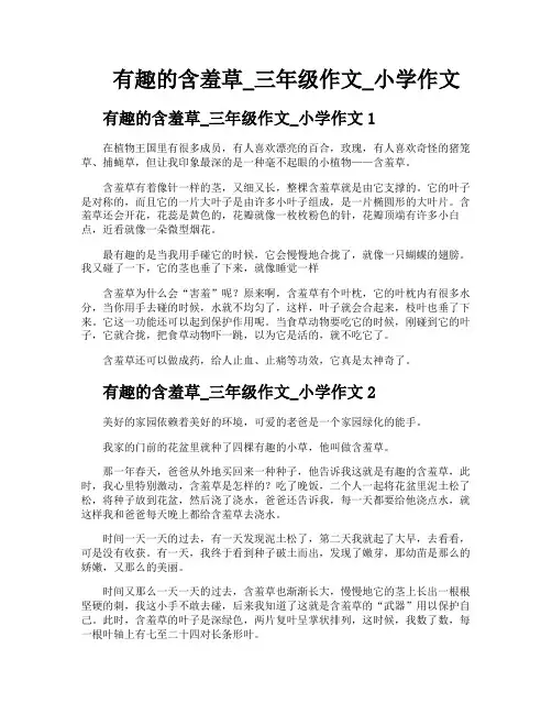 有趣的含羞草三年级作文小学作文