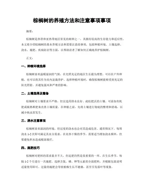 棕榈树的养殖方法和注意事项事项