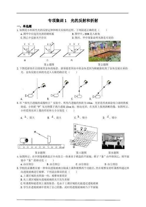 光的反射和折射(含解析)