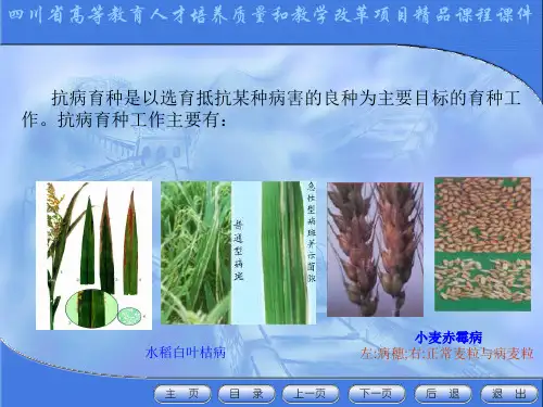 作物抗病育种