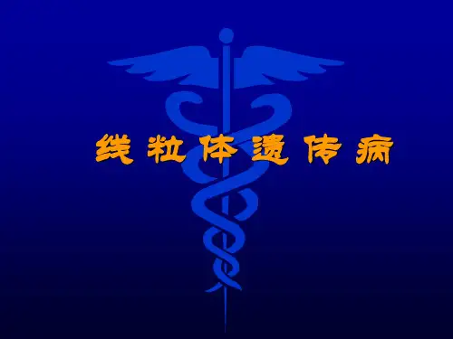 线粒体遗传病