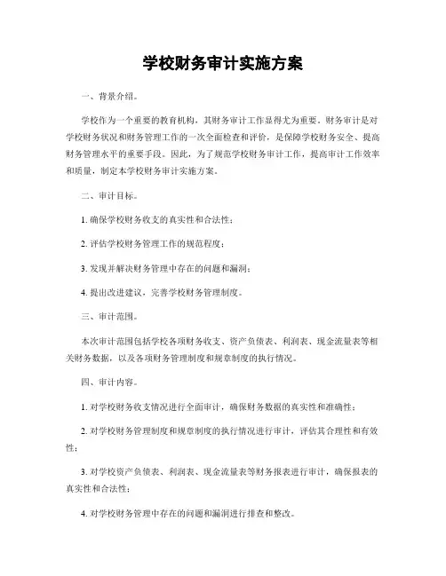 学校财务审计实施方案