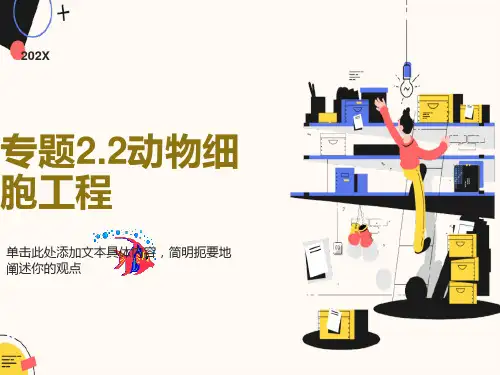 动物细胞工程ppt