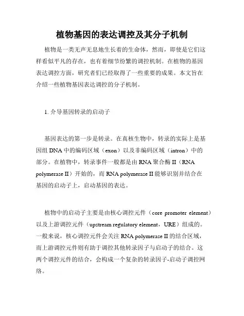 植物基因的表达调控及其分子机制