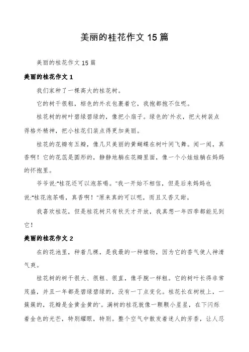 美丽的桂花作文15篇