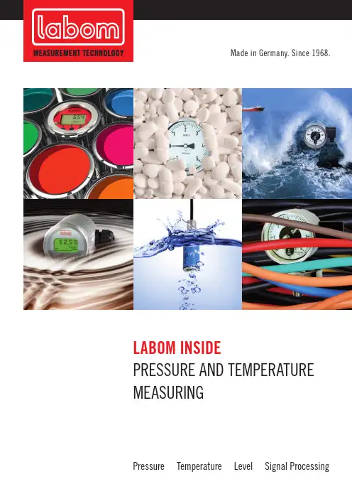 LABOM 德国制造的压力和温度测量仪器说明书