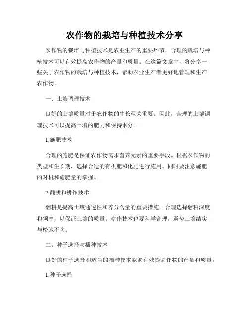 农作物的栽培与种植技术分享