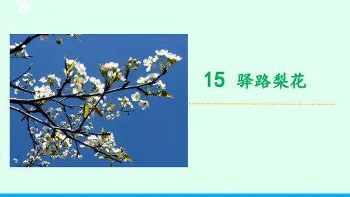 《驿路梨花》ppt课件