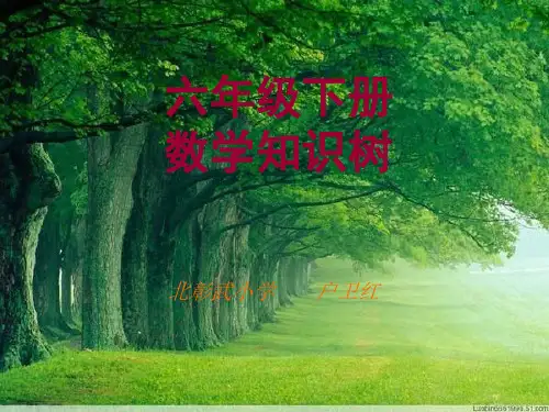 六年级下册数学知识树