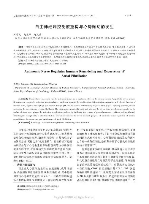 自主神经调控免疫重构与心房颤动的发生