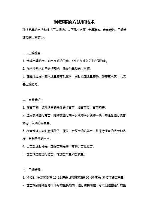 种苋菜的方法和枝术