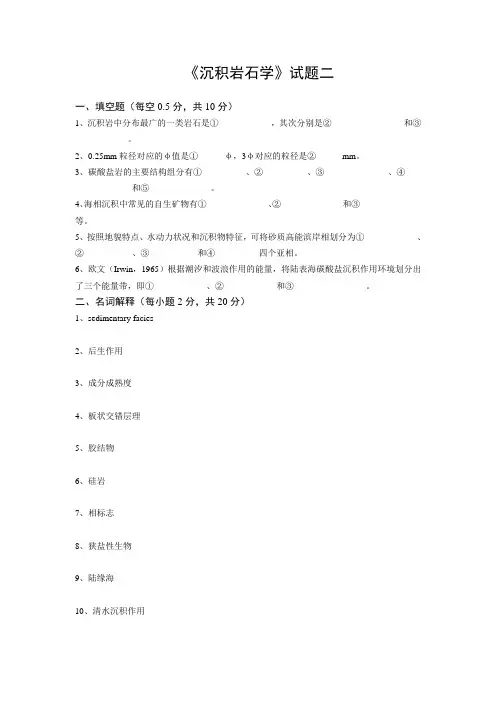 沉积岩石学试题二