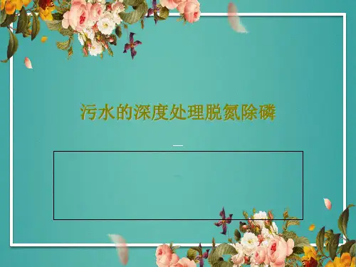 污水的深度处理脱氮除磷PPT文档24页