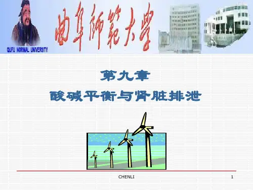 酸碱平衡与肾脏排泄PPT课件