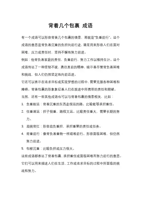 背着几个包裹 成语