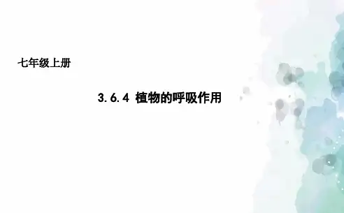 苏教版生物-七年级上册3.6.4植物的呼吸作用 课件