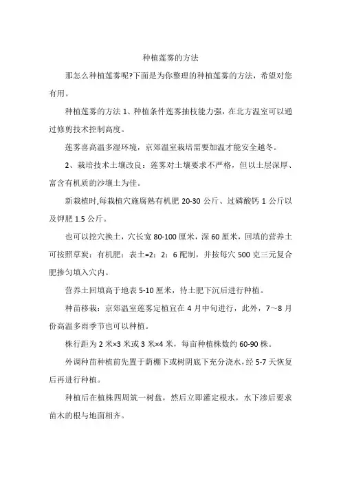 种植莲雾的方法