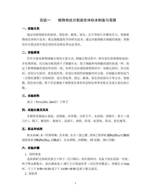 植物有丝分裂PPT