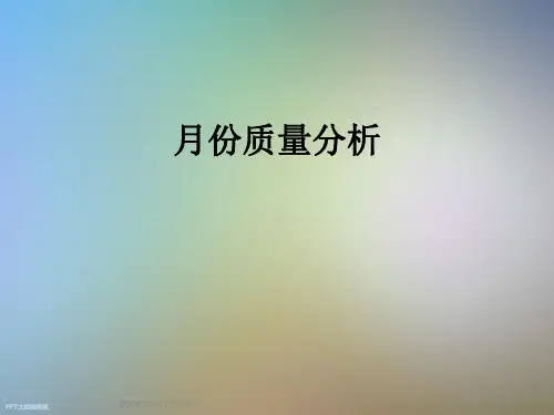 月份质量分析