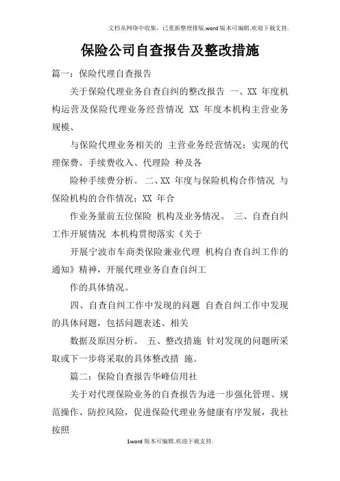 保险公司自查报告及整改措施