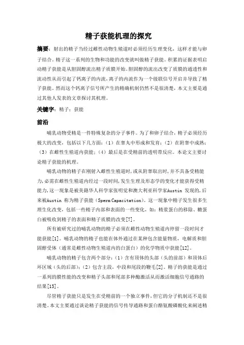 精子获能的机理