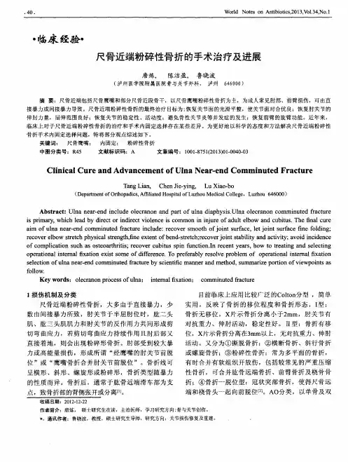 尺骨近端粉碎性骨折的手术治疗及进展