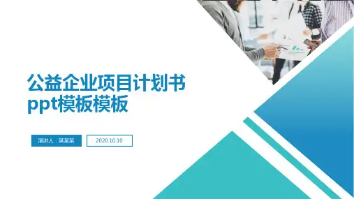 公益企业项目计划书ppt模板模板
