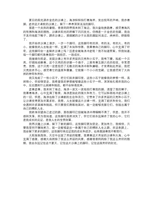 我在沙滩上的脚印