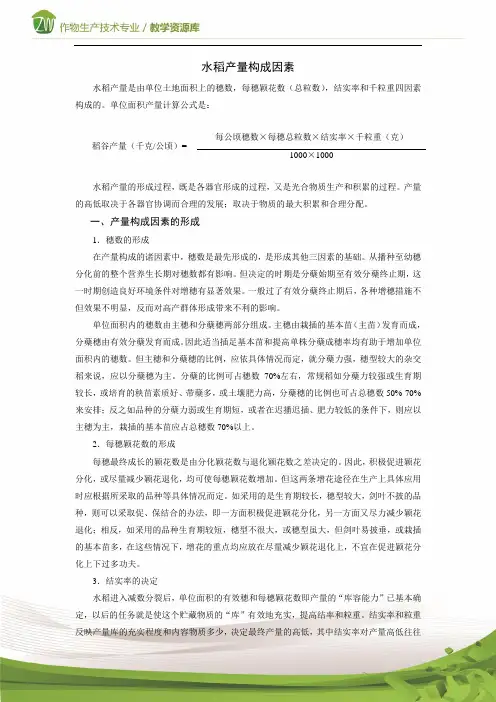 225-水稻产量构成因素.
