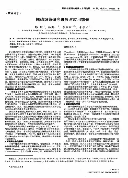 解磷细菌研究进展与应用前景