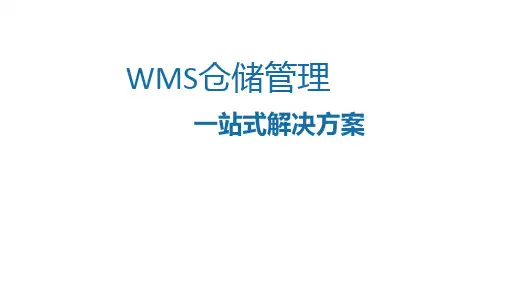 WMS解决方案精选全文