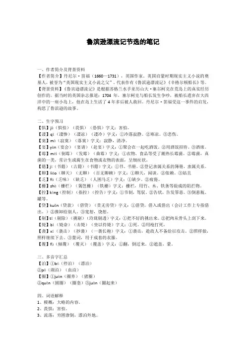 鲁滨逊漂流记节选的笔记