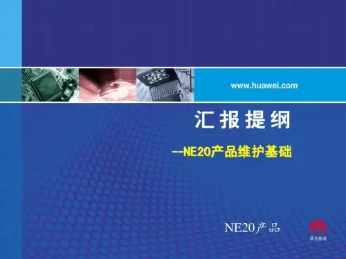 NE20产品维护基础培训