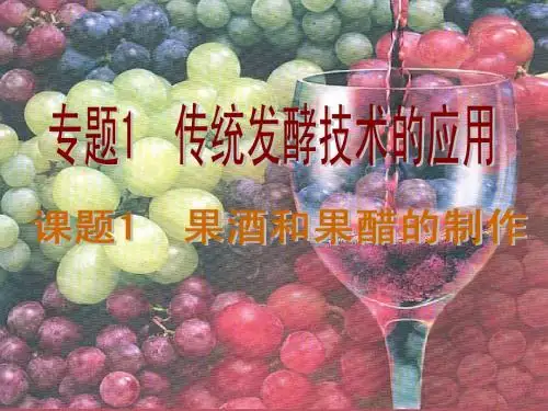 1.1《果酒和果醋制作》课件(新人教版选修1)