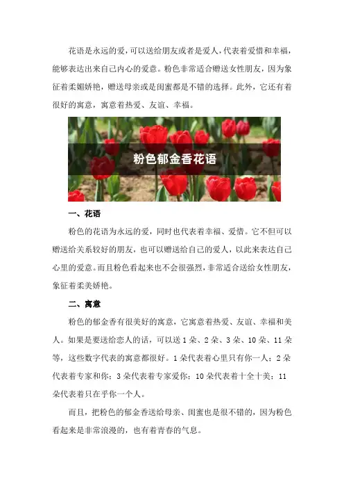 粉色郁金香的花语和寓意