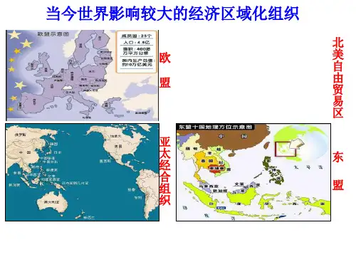 高中历史必修2《世界经济的全球化趋势第24课 世界经济的全球化》113人教PPT课件