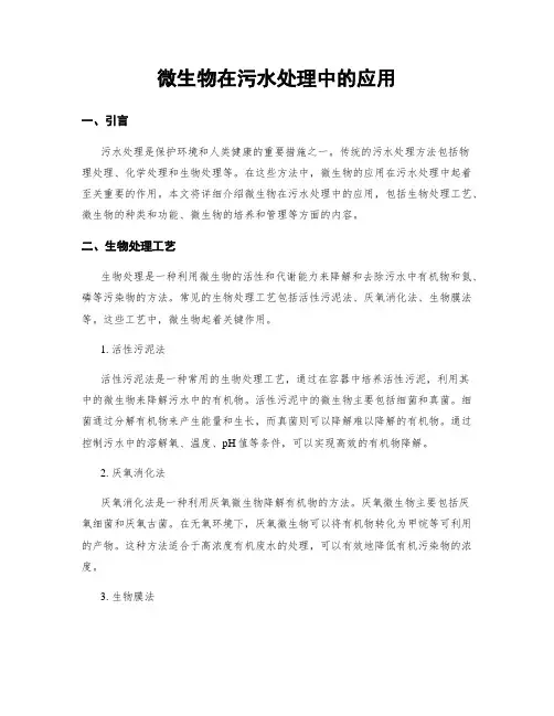 微生物在污水处理中的应用