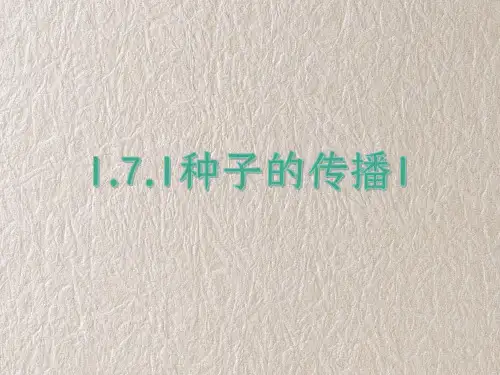 教科版四年级科学下册1-7-1种子的传播1 教学课件