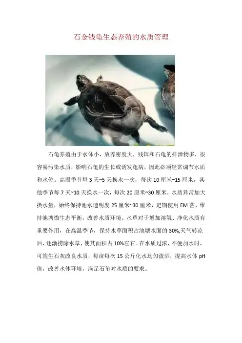 石金钱龟生态养殖的水质管理