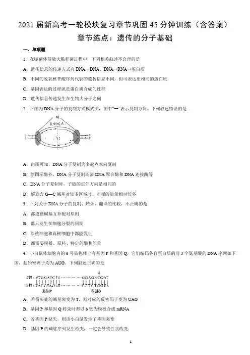 高中生物 新高考一轮模块复习章节巩固训练 遗传的分子基础(含答案)
