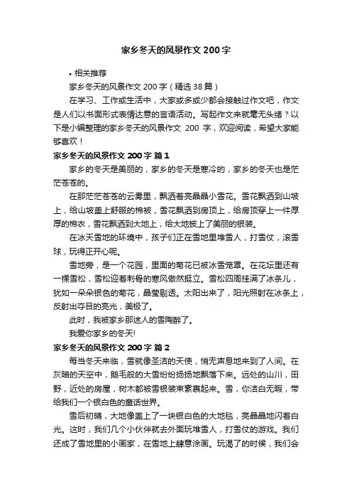 家乡冬天的风景作文200字