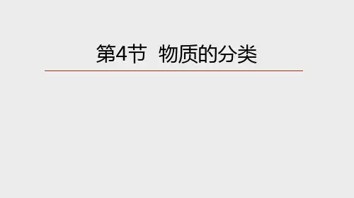 物质的分类(PPT课件(初中科学)23张)