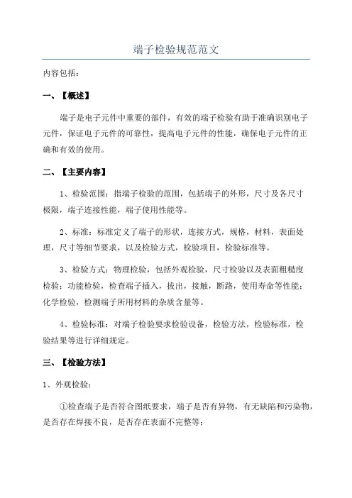 端子检验规范范文
