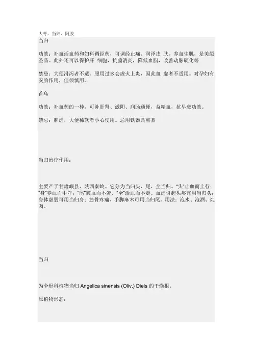当归的吃法